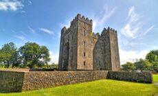 Castillo de Bunratty - © robnaw
