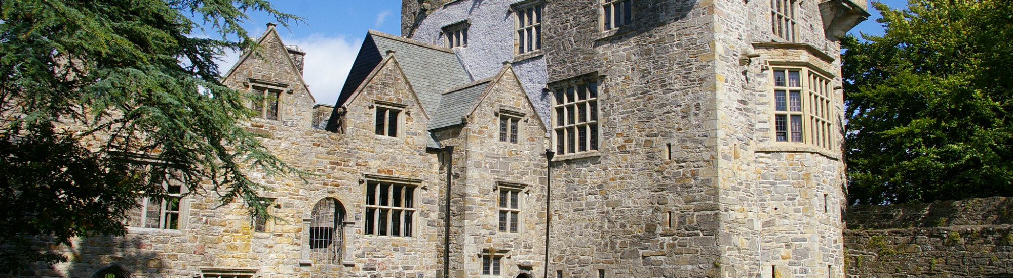 El Castillo de Donegal