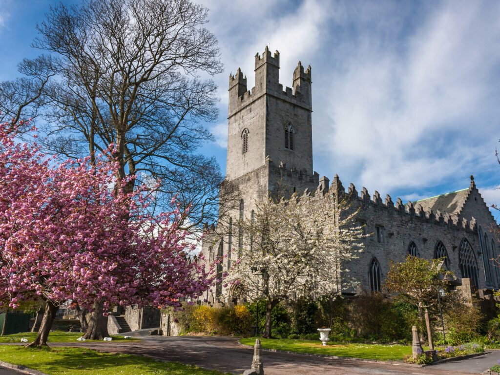 st marys cathedral
