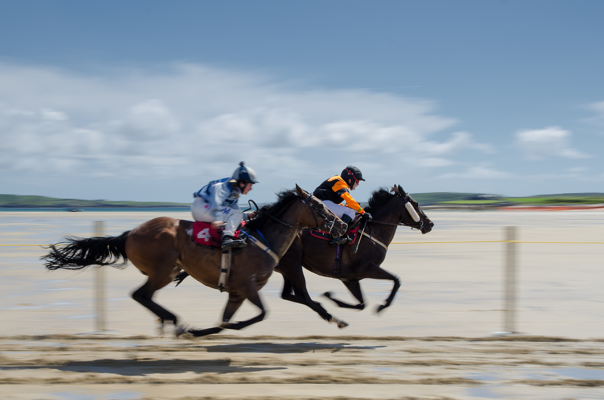 Las Dingle Races