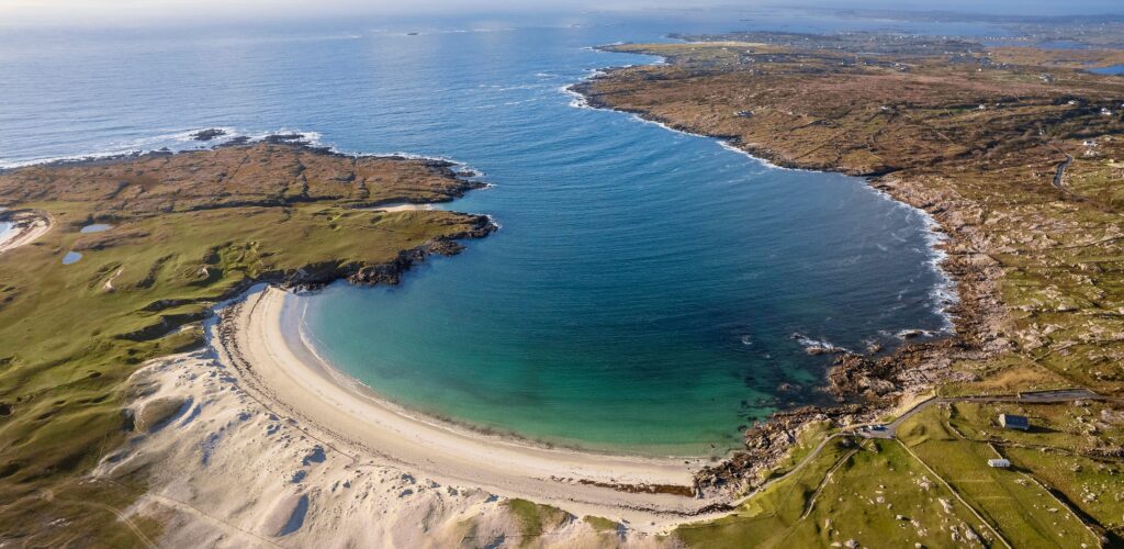 dogs bay 1