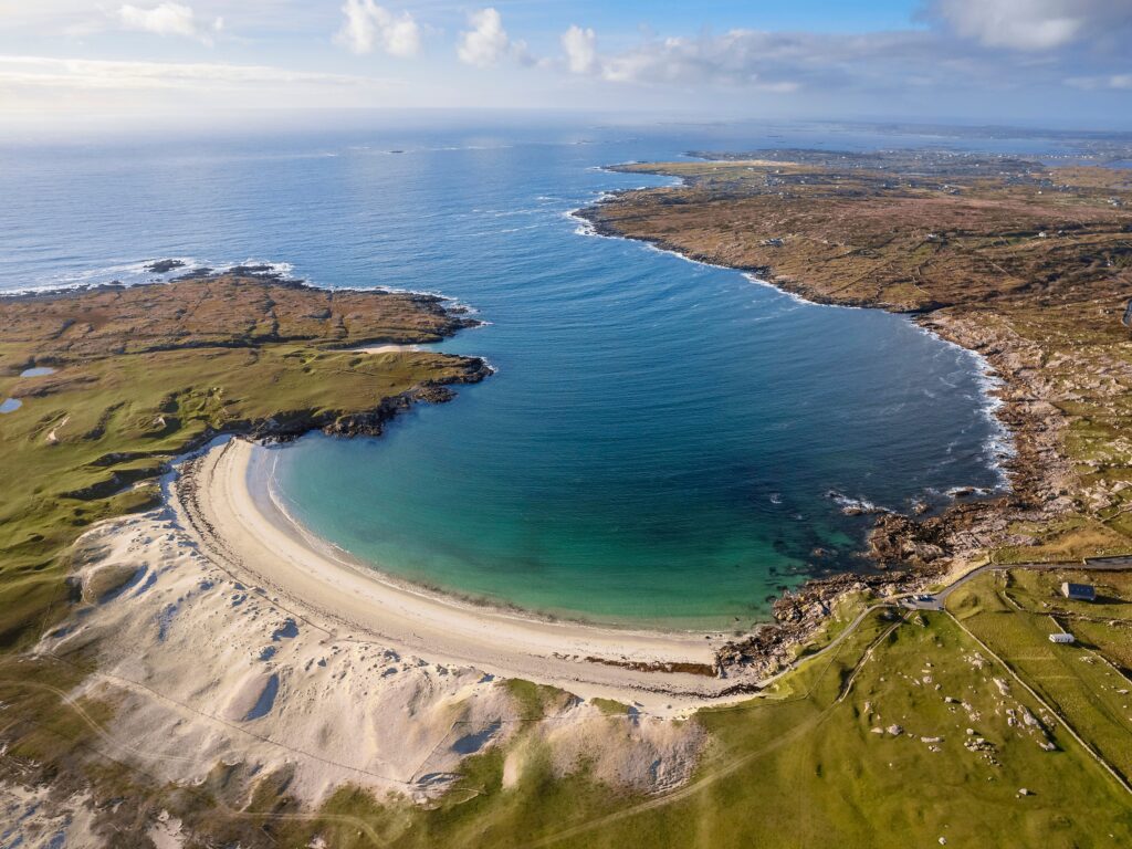 dogs bay 1