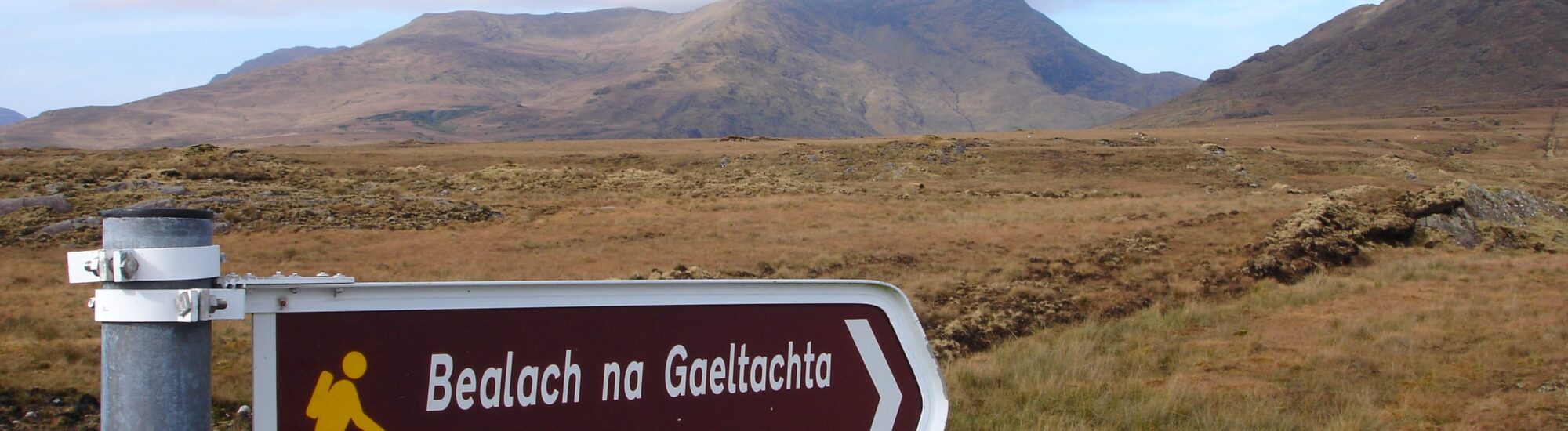El gaélico irlandés