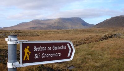 El gaélico irlandés