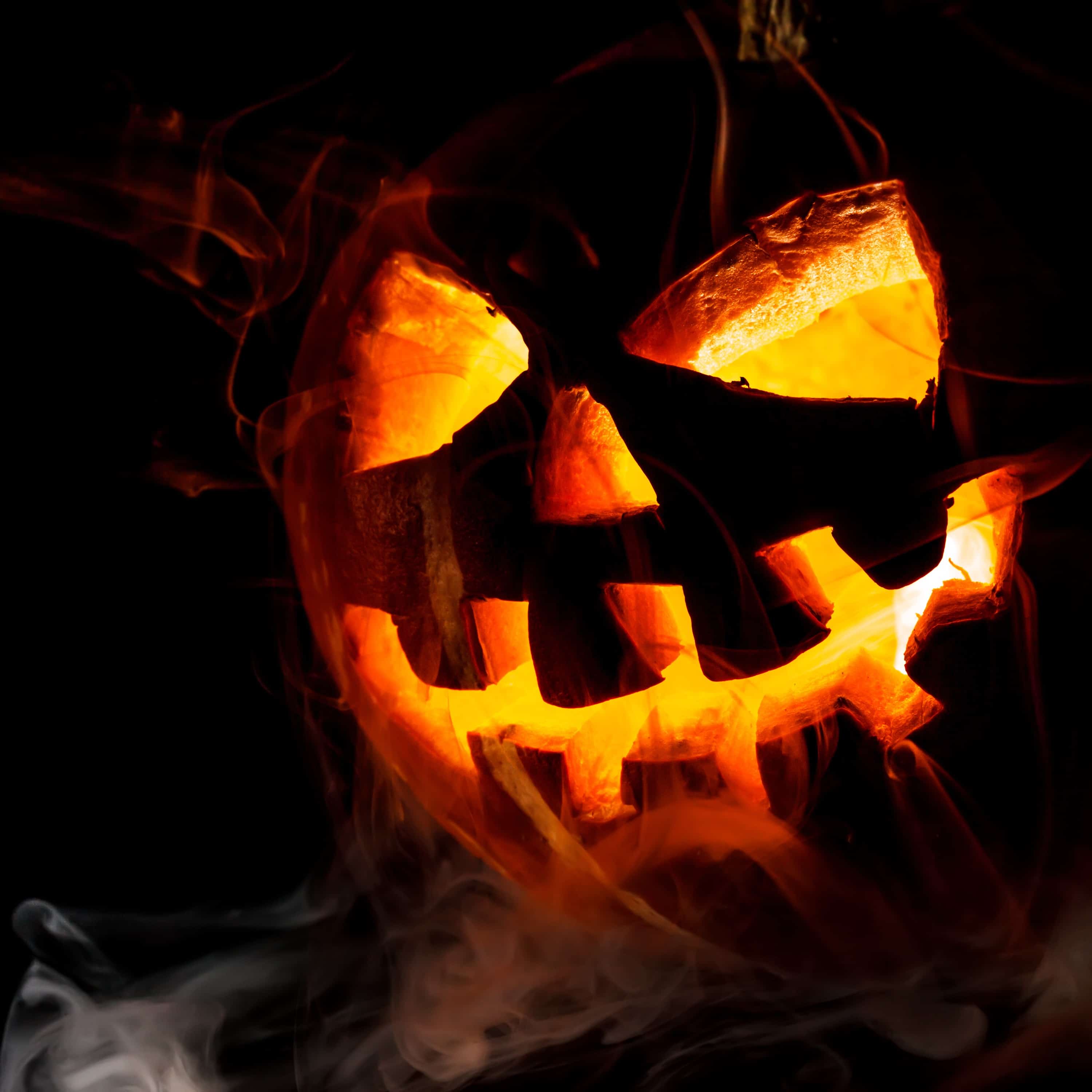 Una calabaza Jack O'Lantern - © Andrey Armyagov
