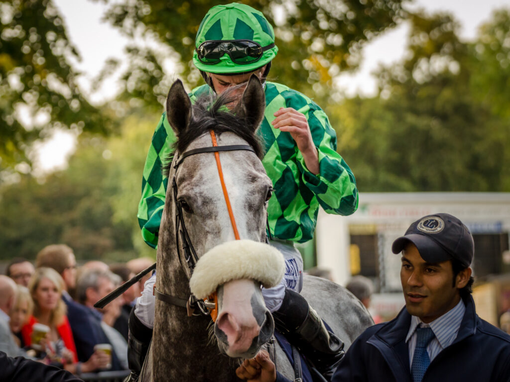 leopardstown christmas festival