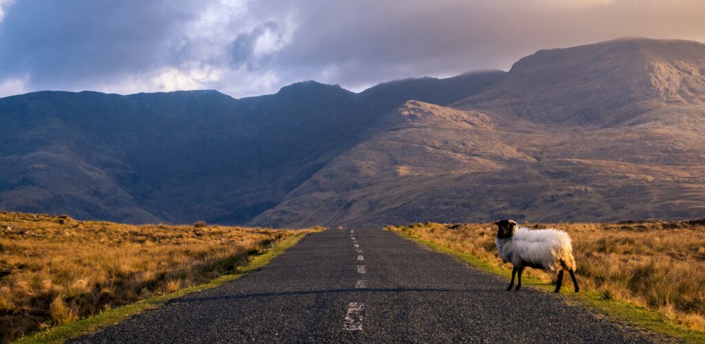 5 razones para descubrir Irlanda en otoño