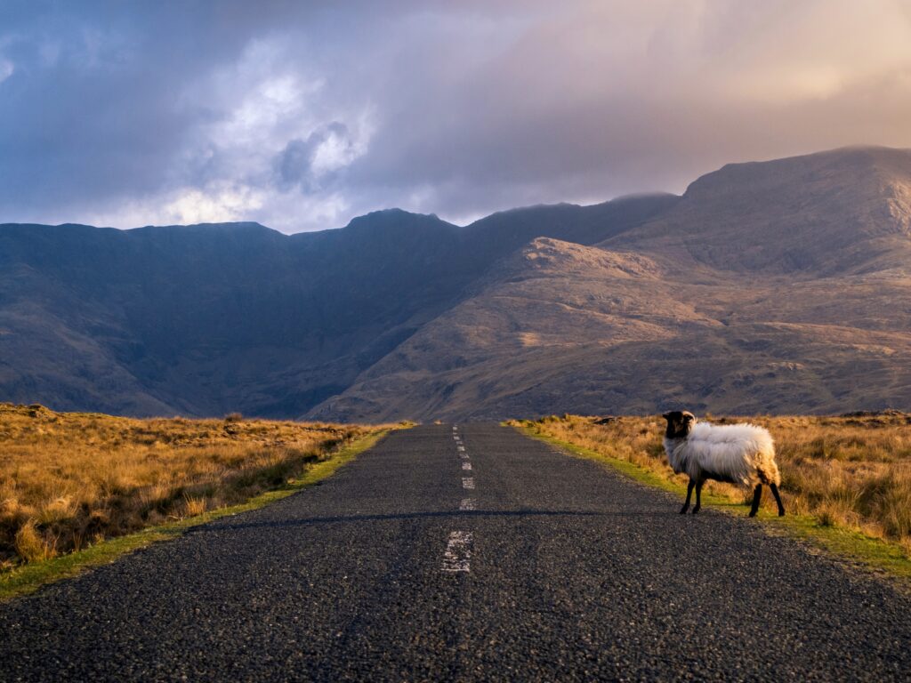 route connemara 1