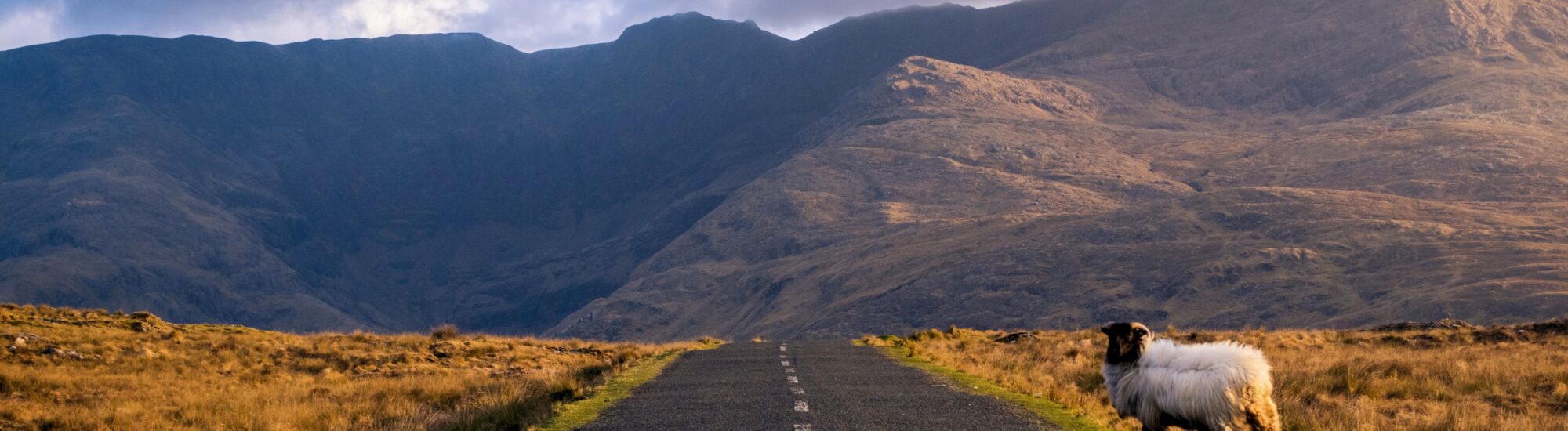 Desplazarse en coche en Irlanda