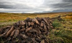Turba en Irlanda - © Aurelien