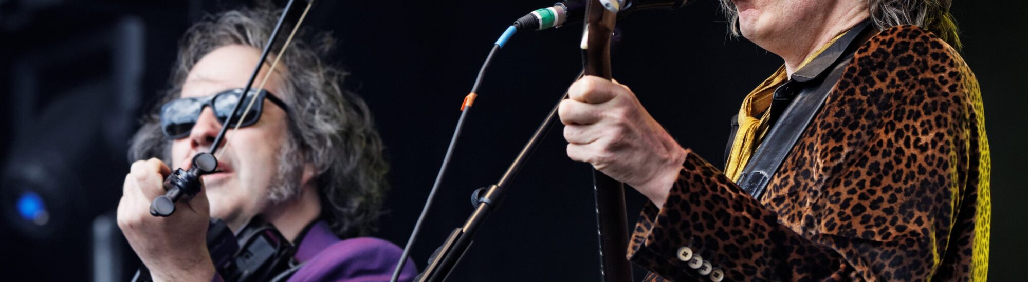 Los Waterboys