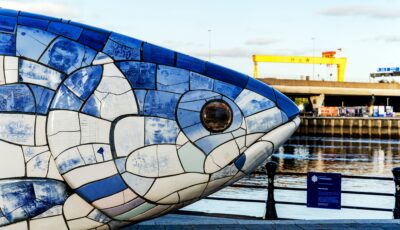 Big Fish, Belfast - © AlexMastro