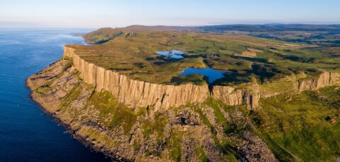 fair head
