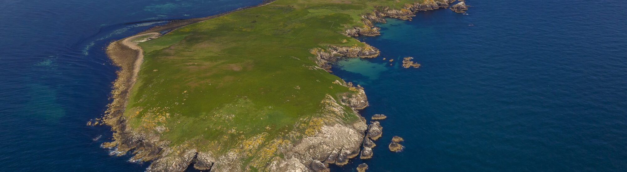 La Isla Great Saltee