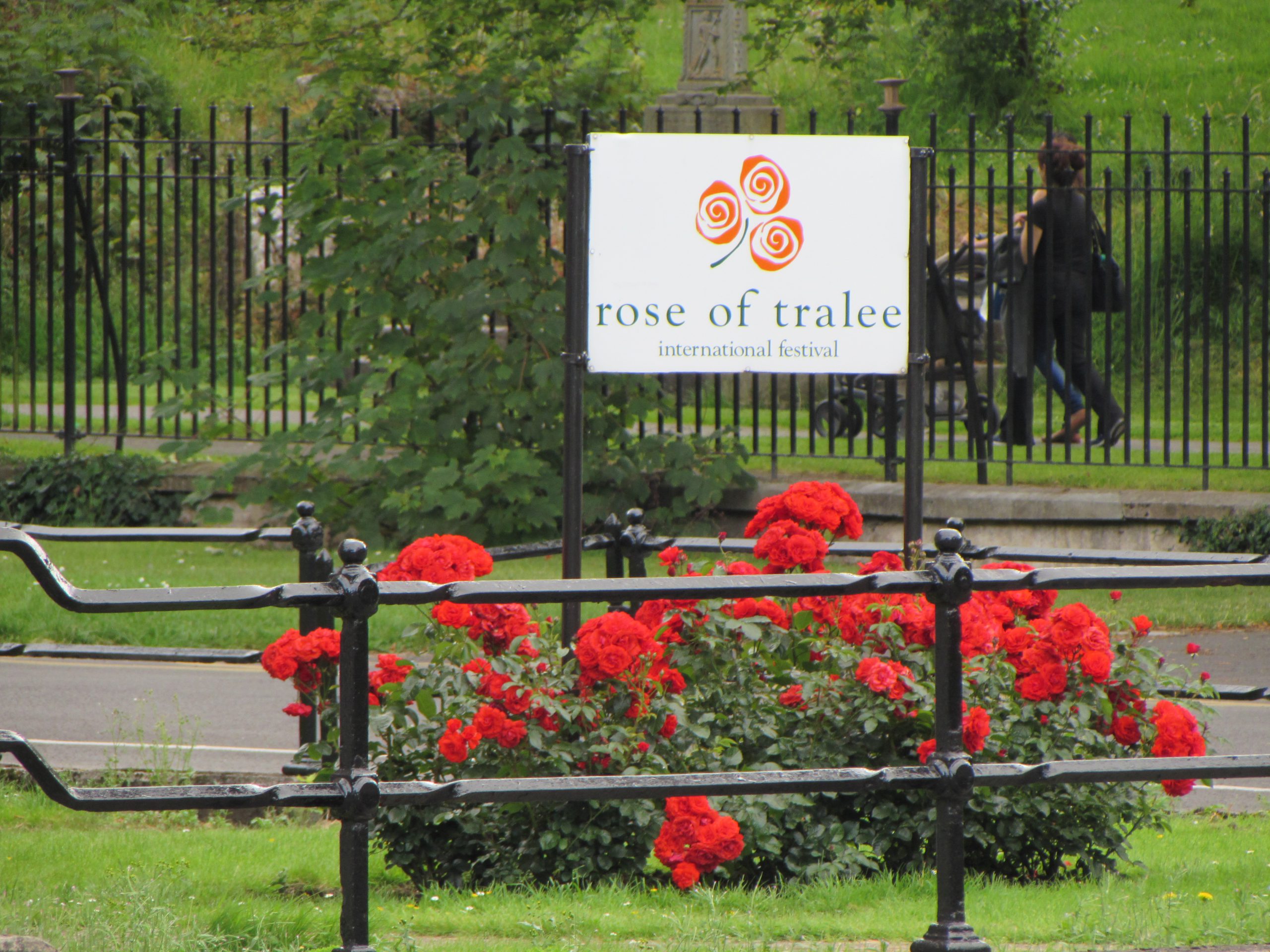 La Rose of Tralee