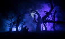 ¿Cómo se pronuncia la palabra Samhain? - zef arte