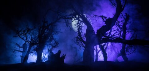 ¿Cómo se pronuncia la palabra Samhain? - zef arte