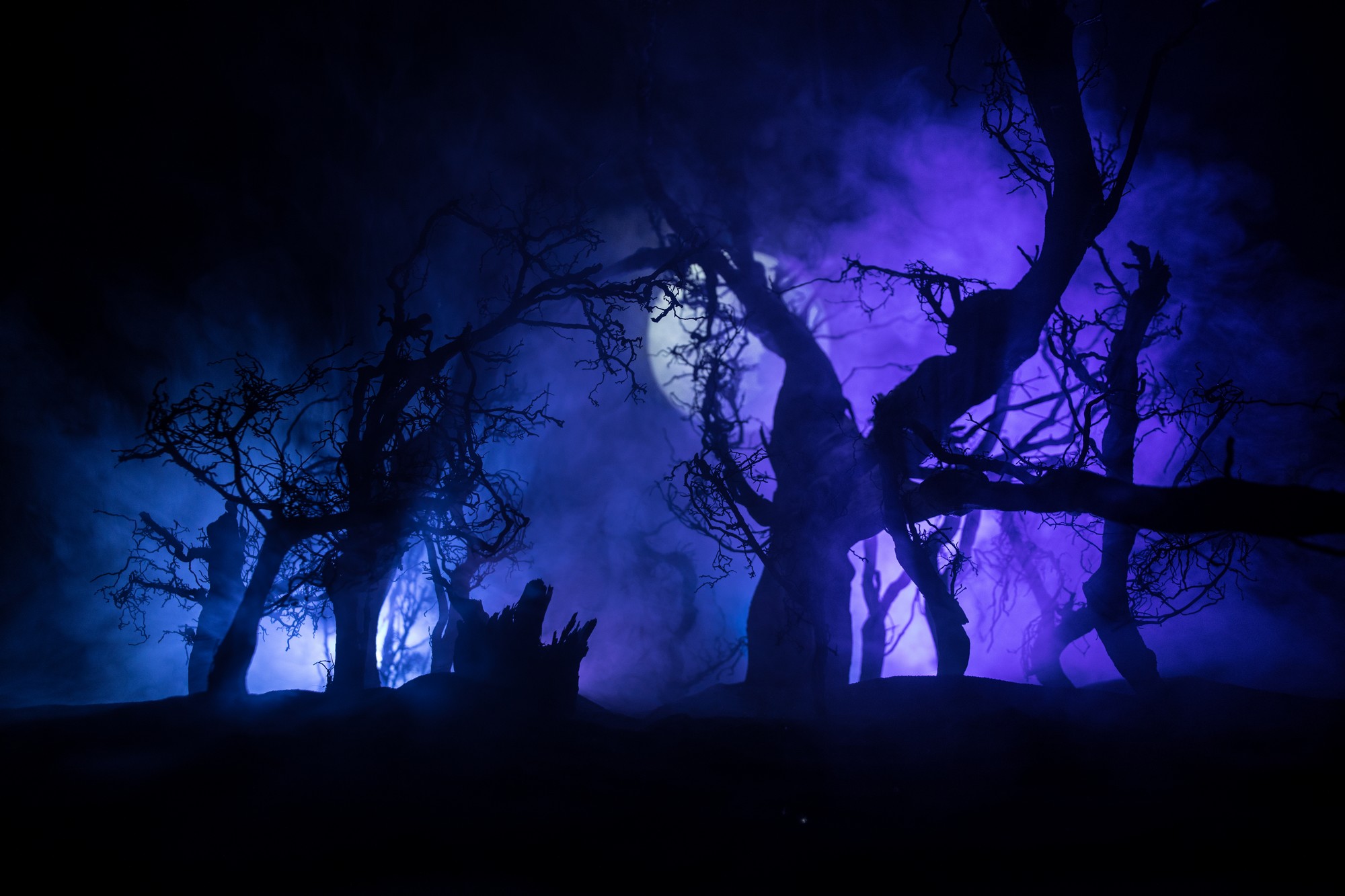 ¿Cómo se pronuncia la palabra Samhain? - zef arte   