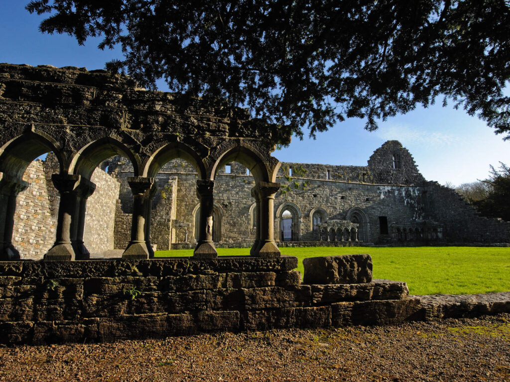 cong abbey 3