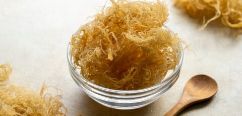 irish sea moss