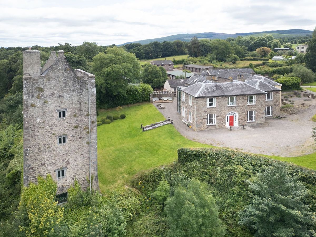 Le Carrigacunna castle est actuellement en vente - daft.ie