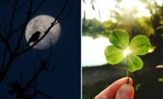 Supersticiones irlandesas - © Canva Pro