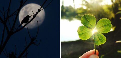 Supersticiones irlandesas - © Canva Pro