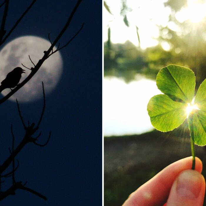 Supersticiones irlandesas - © Canva Pro