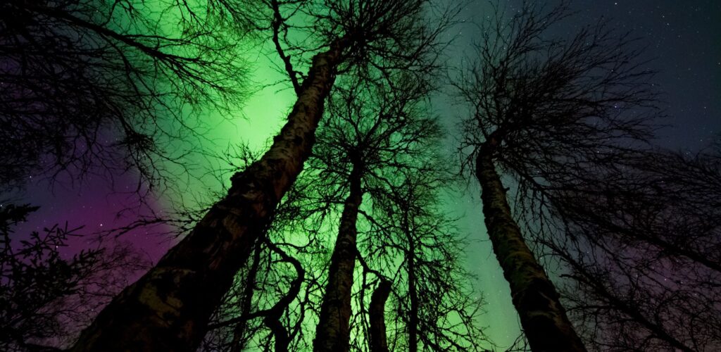 Irlanda del Norte: ¡las auroras boreales ofrecieron su espectáculo anoche!