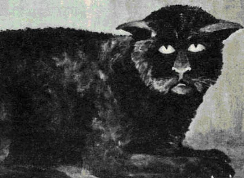 El gato de Killakee House