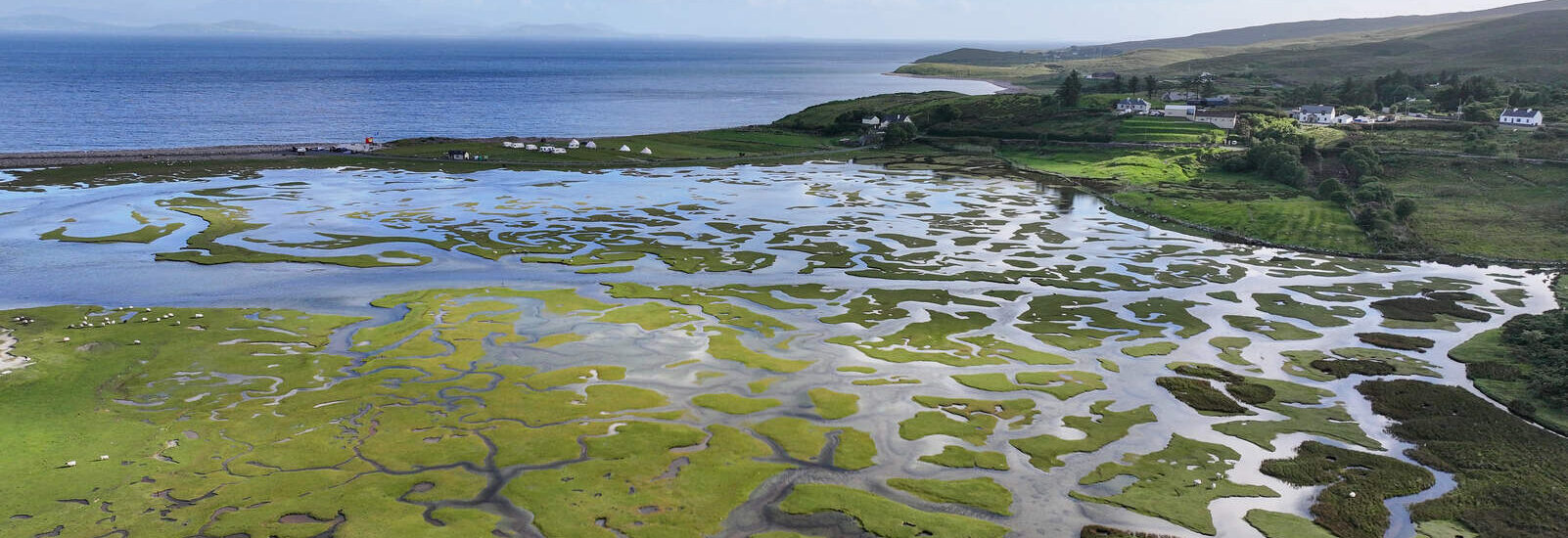 Pantano irlandés