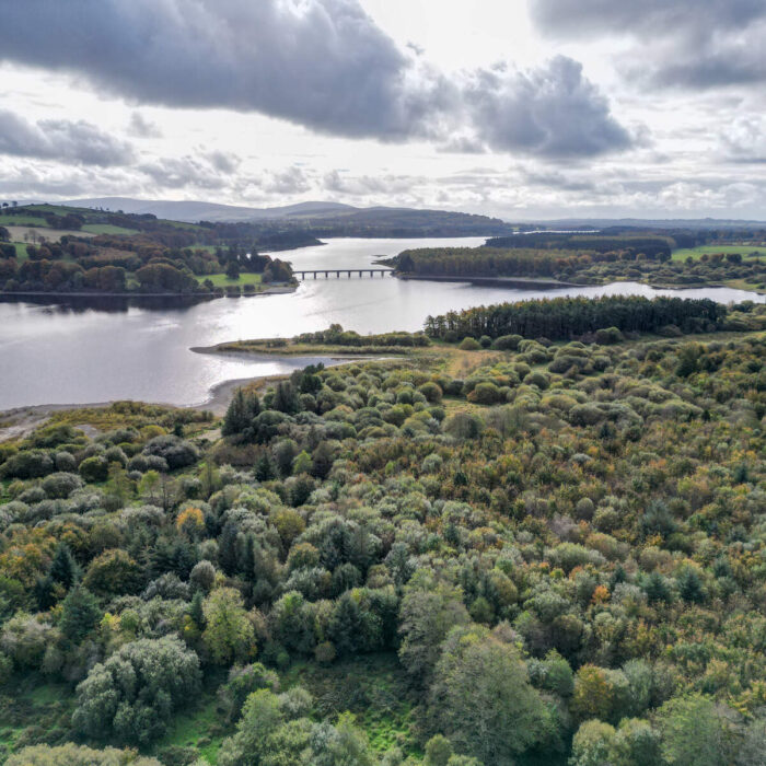 El embalse de Poulaphouca - © Sonder Visual - Fáilte Ireland