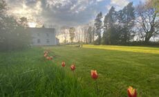 Cosy farmhouse in the heart of Roscommon