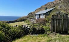 Dave's Wee House