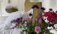 Garden Cottage on Tintern Trails