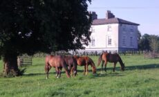 Glebe House