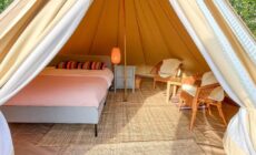Greystones Glamping Tent 5