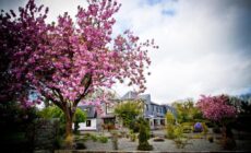 Kathleens Country House