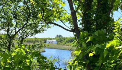 River Cottage, Clifden