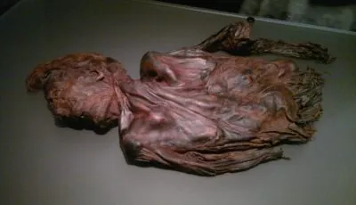 El Hombre de Clonycavan