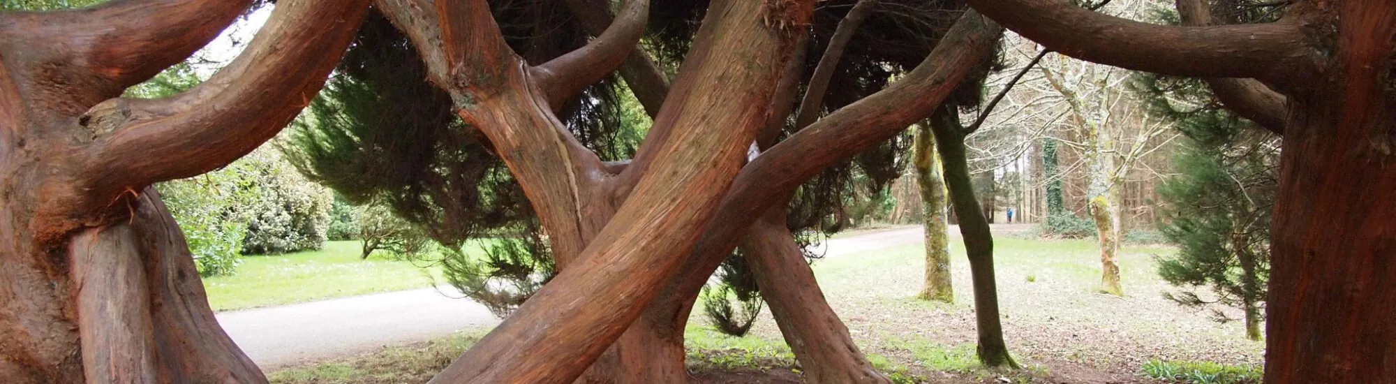 El Arboreto John Fitzgerald Kennedy