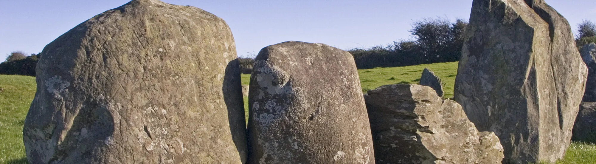 El Mesolítico en Irlanda