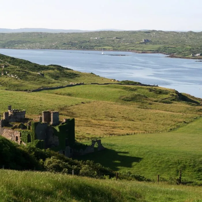 Le Clifden castle - nora.warschewski - cc