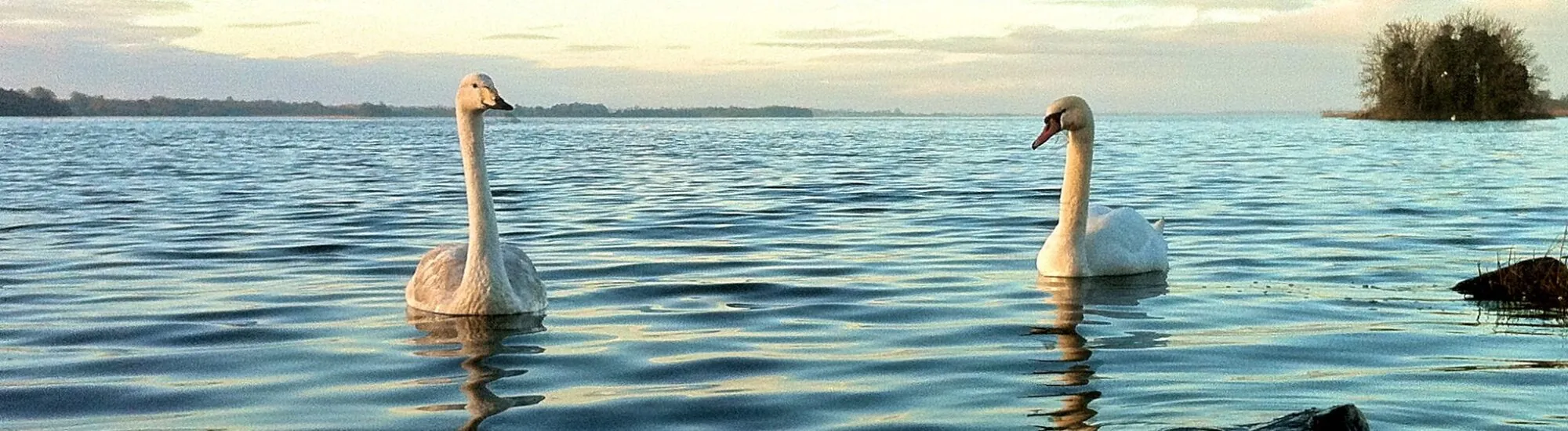 El Lough Ennell