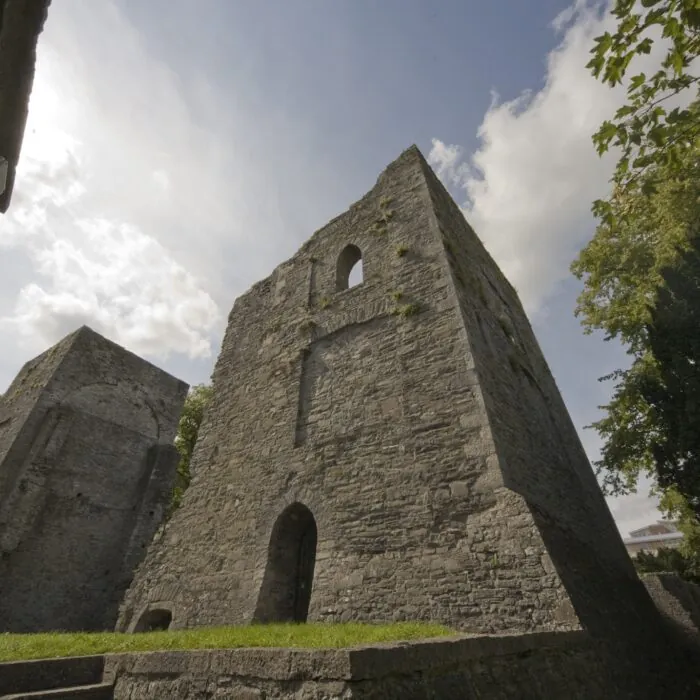 Le Maynooth castle - William Murphy - cc