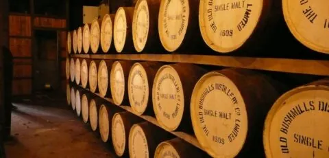 old bushmills distillery 1 scaled