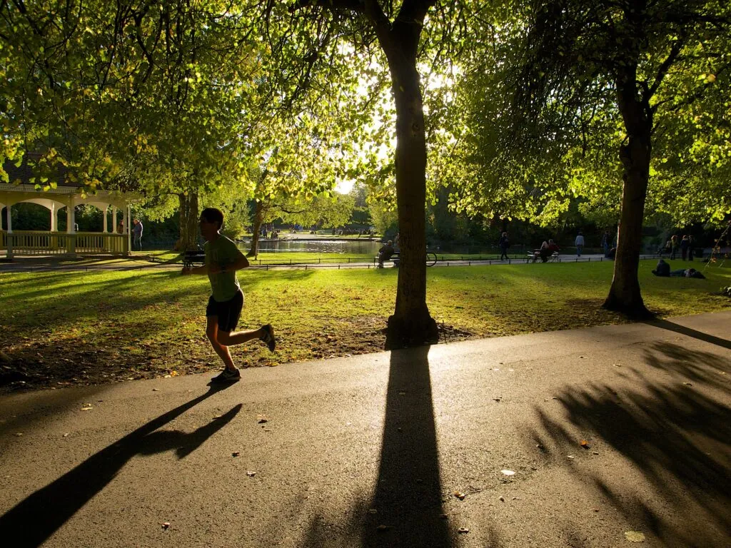 Stephen's Green - Michael Foley - cc