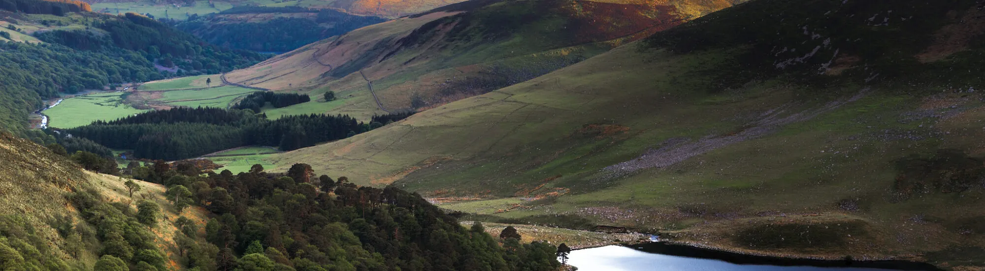Montañas de Wicklow