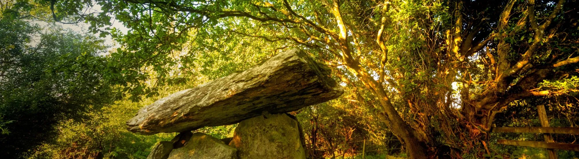El Neolítico en Irlanda