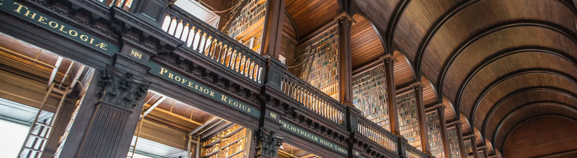 Bibliotecas irlandesas